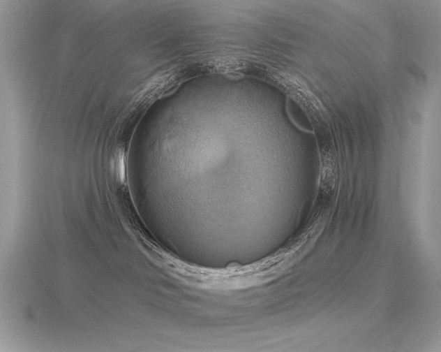 X0000116490046200912091430