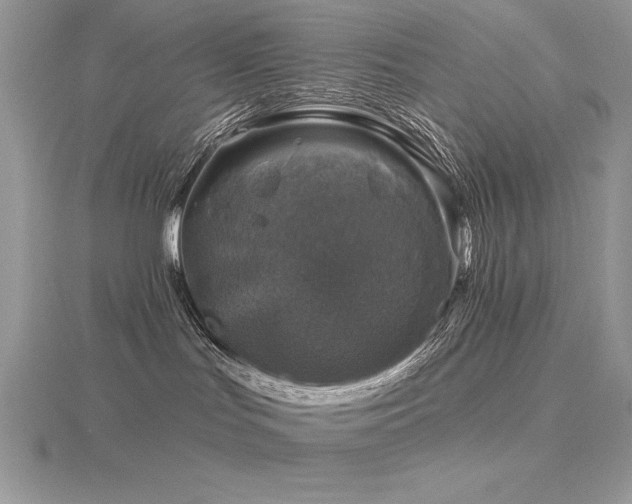 X0000116490047200912091429