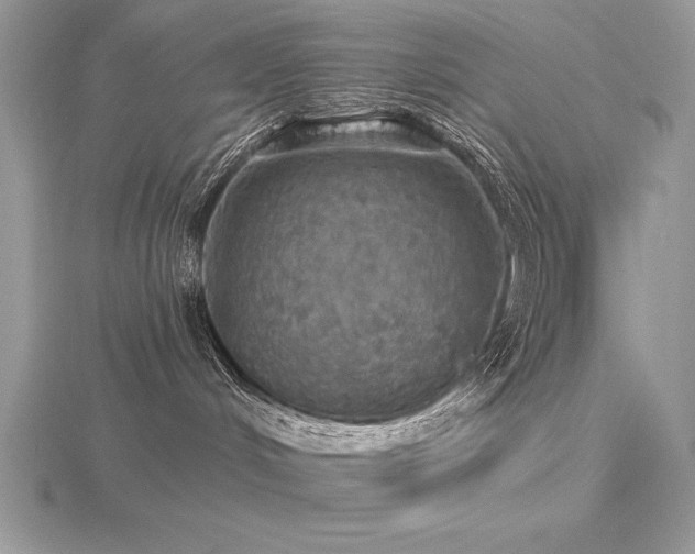 X0000116490048200912091429