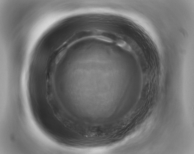 X0000116490050200912091429