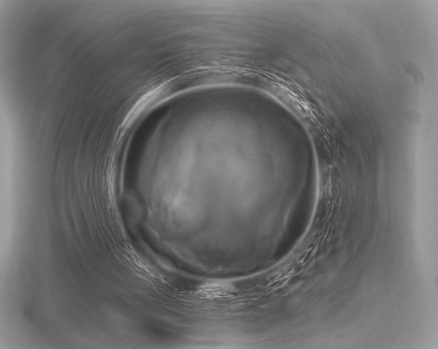 X0000116490051200912091429