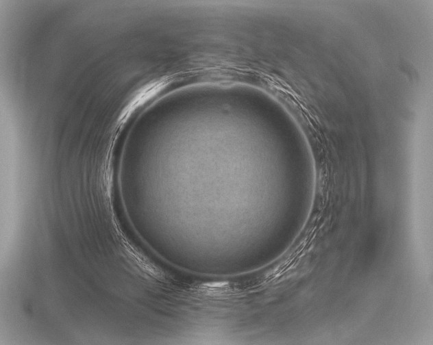 X0000116490054200912091429