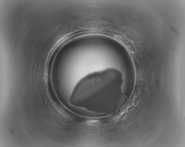 X0000116490055200912091429