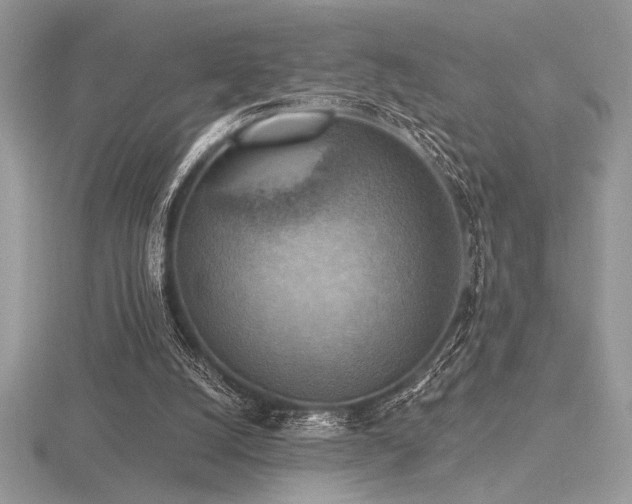 X0000116490056200912091429