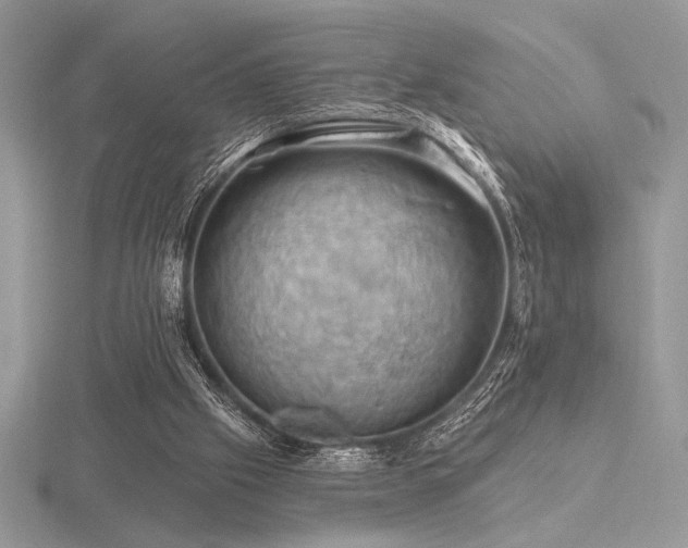 X0000116490057200912091429