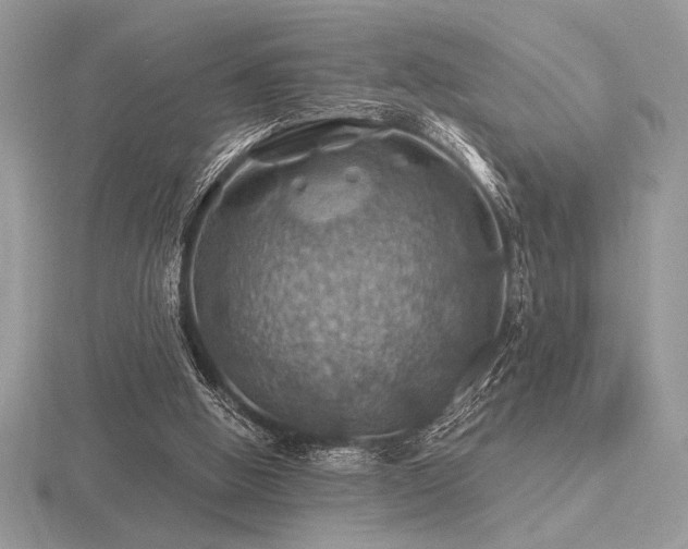 X0000116490058200912091429