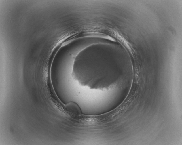 X0000116490059200912091429