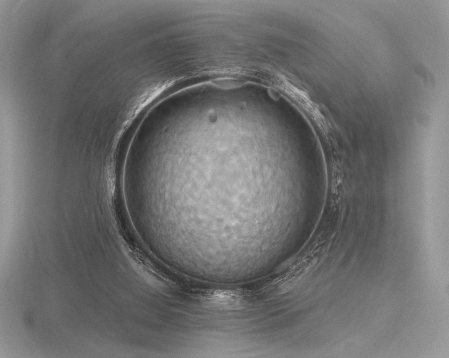 X0000116490060200912091429