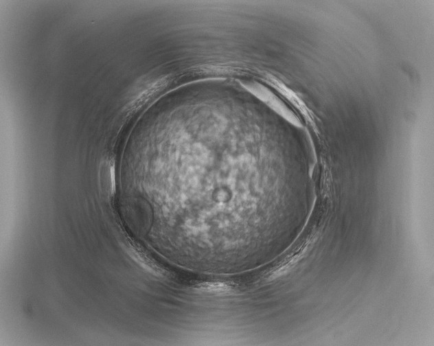 X0000116490061200912091429