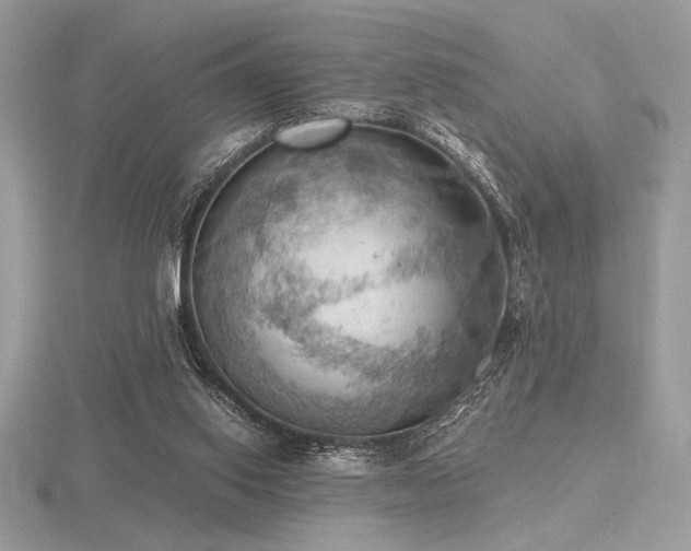 X0000116490062200912091429