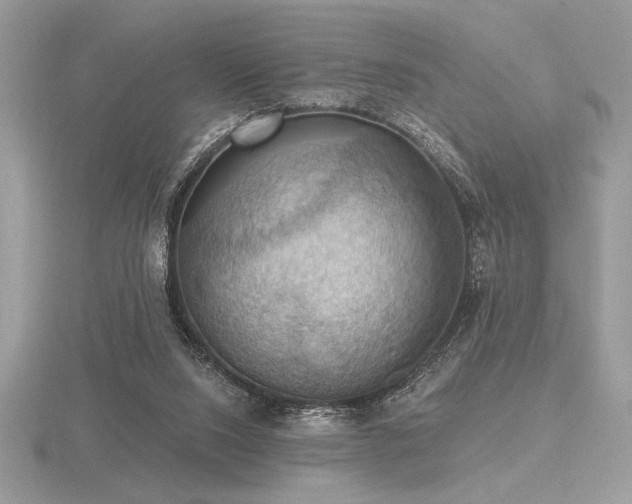 X0000116490064200912091429