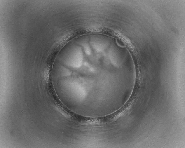 X0000116490065200912091429