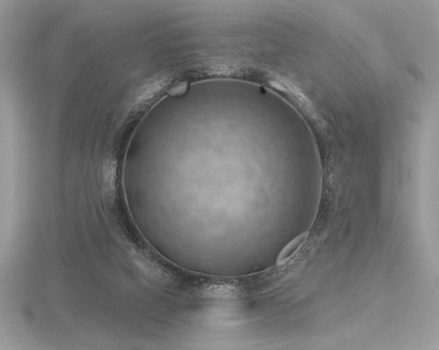 X0000116490066200912091429