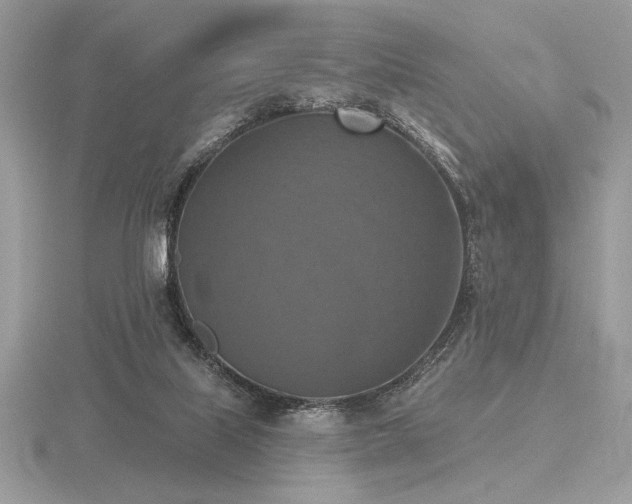 X0000116490067200912091429