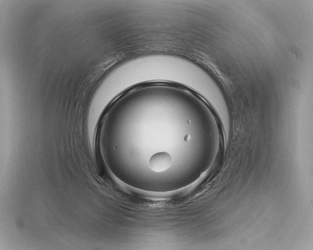 X0000116490068200912091429