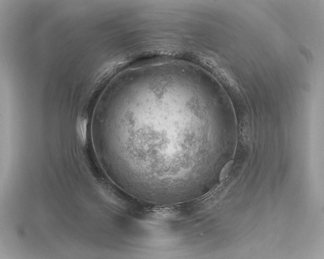 X0000116490070200912091429