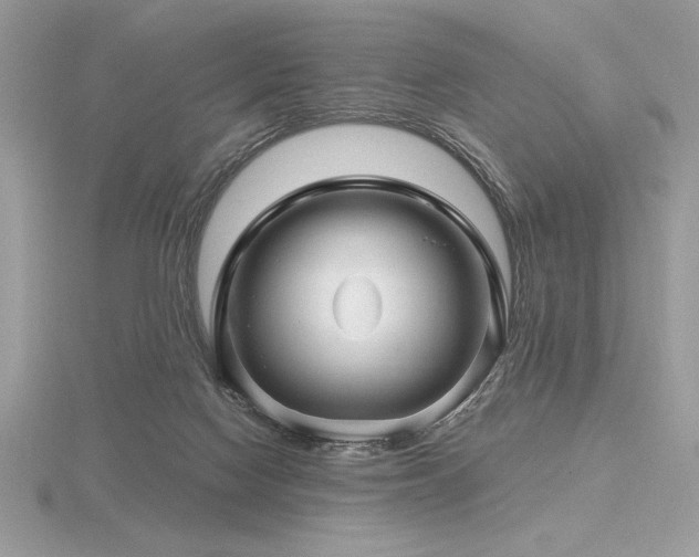 X0000116490074200912091429