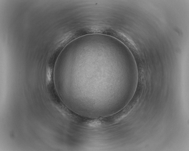 X0000116490075200912091429