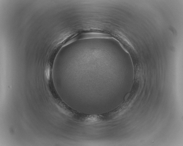 X0000116490076200912091429