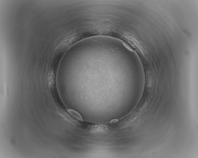 X0000116490077200912091429