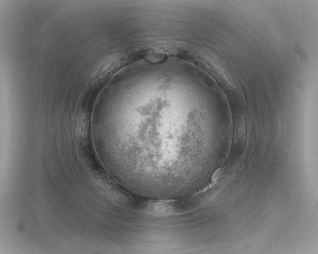 X0000116490078200912091429