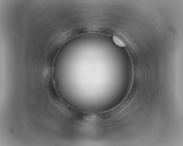 X0000116490079200912091429