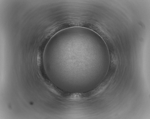 X0000116490080200912091429