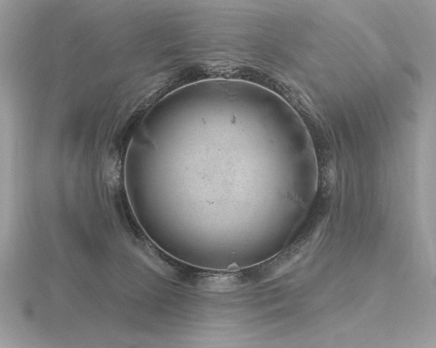 X0000116490081200912091429