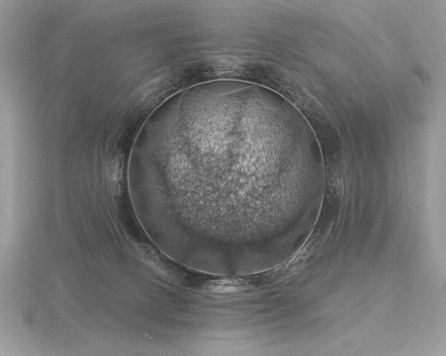 X0000116490082200912091429