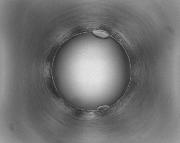 X0000116490083200912091429