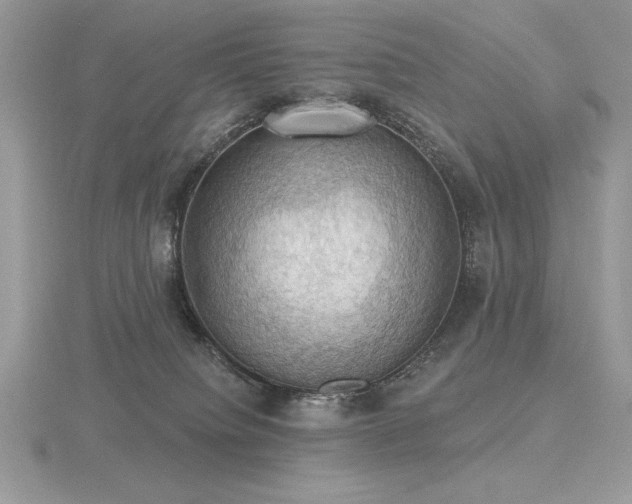 X0000116490084200912091429