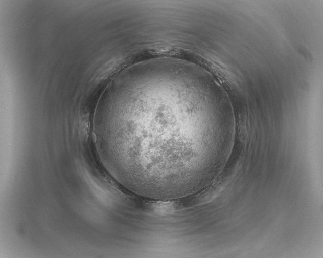 X0000116490085200912091429