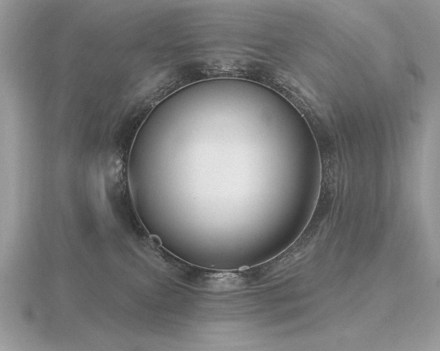 X0000116490087200912091429