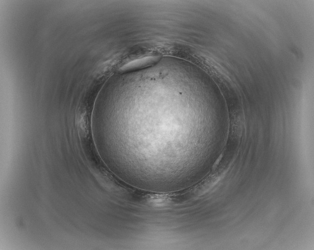 X0000116490088200912091429