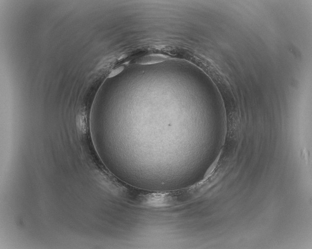 X0000116490090200912091429