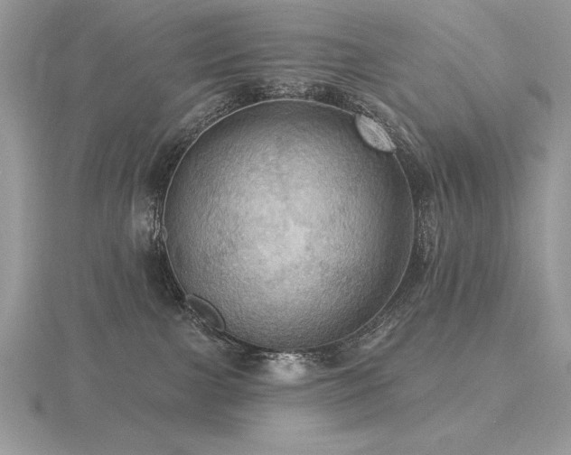 X0000116490091200912091429