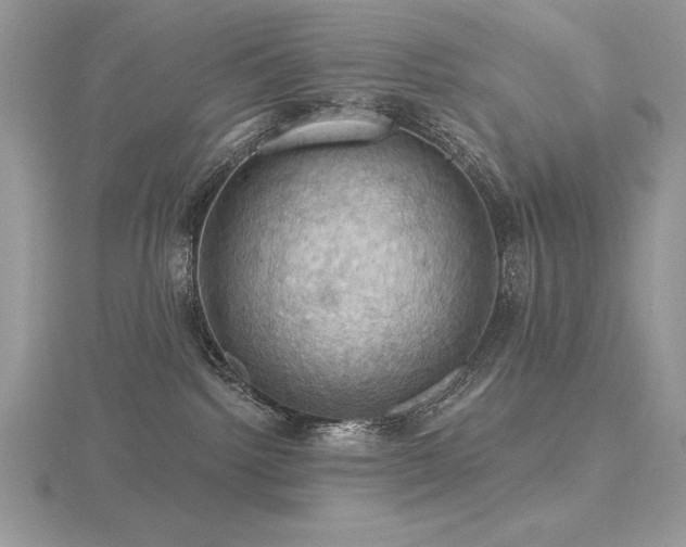 X0000116490092200912091429