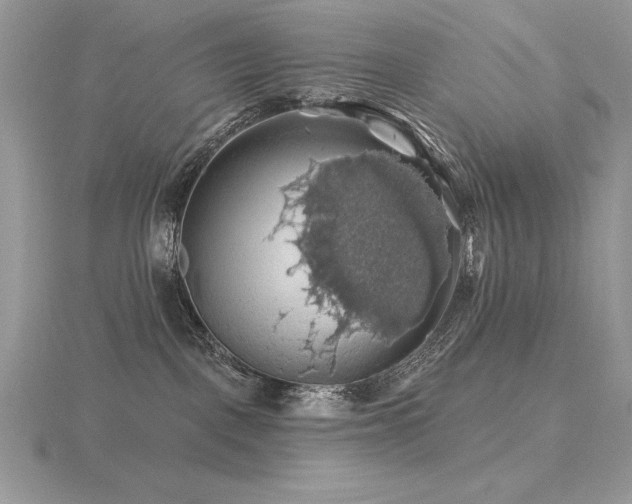 X0000116490093200912091429