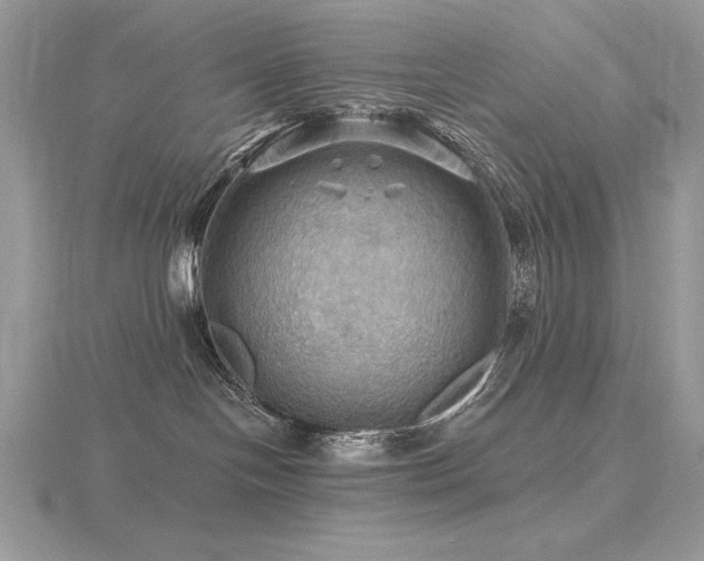 X0000116490094200912091429