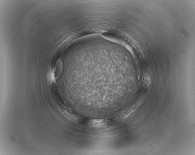 X0000116490095200912091429