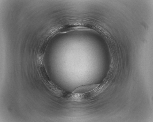 X0000116490096200912091429