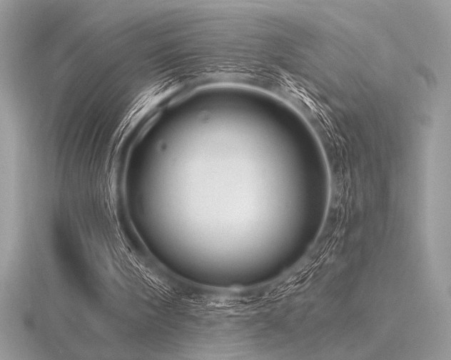 X0000116490098200912091429