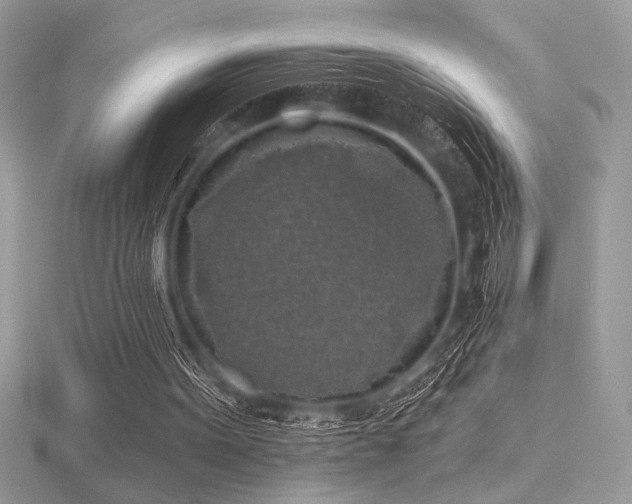 X0000116490099200912091429