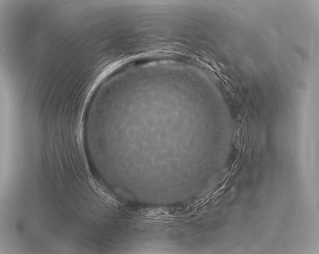 X0000116490100200912091429