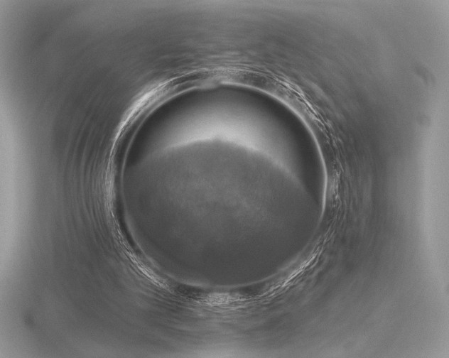 X0000116490101200912091429