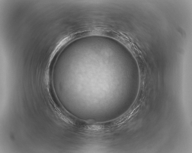 X0000116490102200912091429