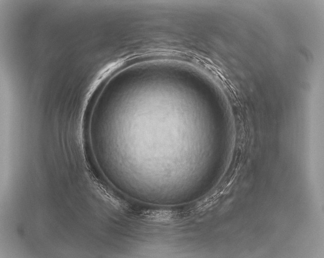 X0000116490104200912091429