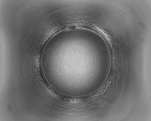 X0000116490105200912091429