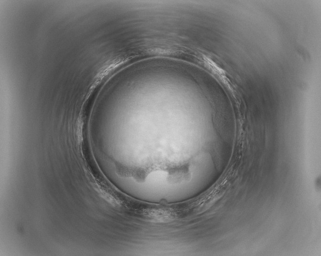 X0000116490106200912091429