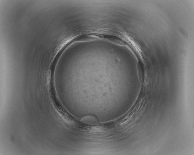 X0000116490107200912091429